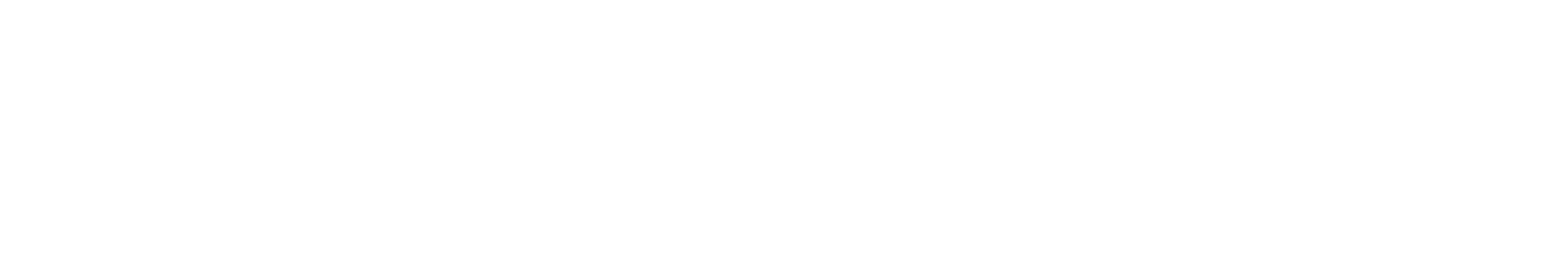 Alliansloppet