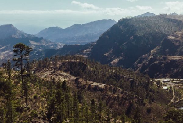 Gran Canaria Virtual Challenge